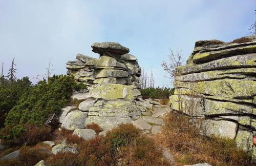 Apartment, 2 bedrooms, kitchen+2 bathrooms - Photo 34