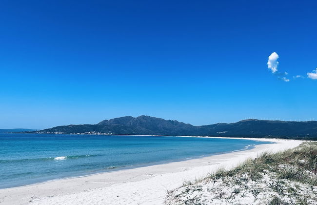 Lar de Canedo - Photo 45