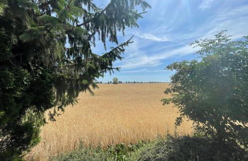 Börde-Apartment 4 - Foto 23