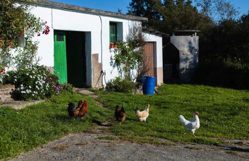 Fuenternilla - Foto 27