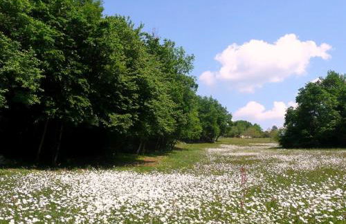 Holiday Home Domäne mit Jacuzzi by Interhome - Foto 32