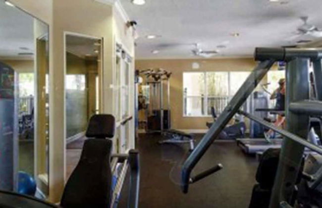 Sun Palm Paradise - Foto 35