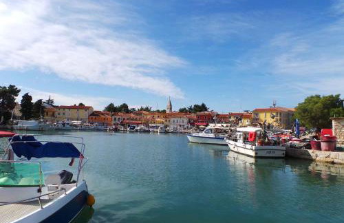 Apartment Pridraga 1 - Photo 8