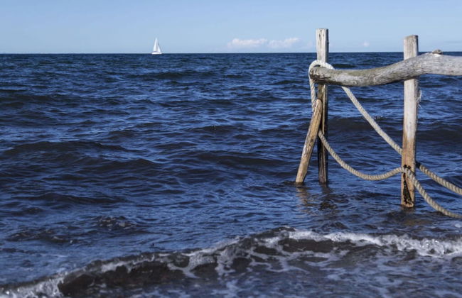 Dream Location in Maasholm - Foto 7