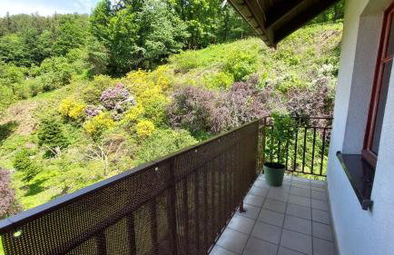 Apartament Międzygórski - Foto 14