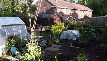 WAVENEY - Photo 5, Garden