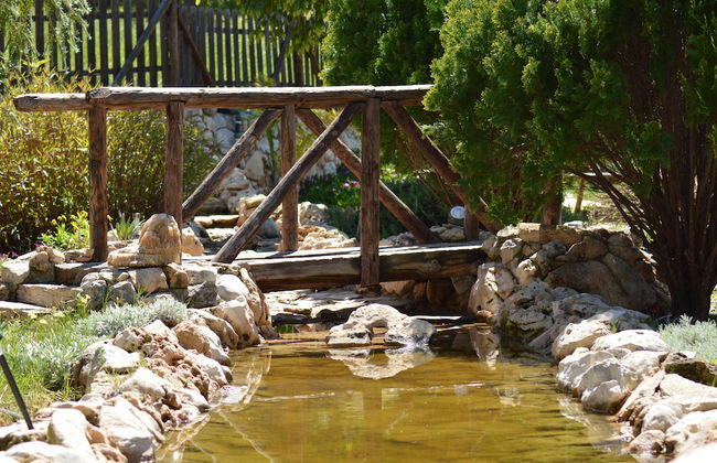 Cortijo Veracruz - Photo 28