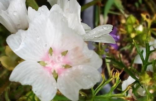 Ferienwohnung am Walnussbaum - Foto 20