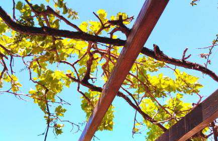 ELEGEO rockhouse - Foto 45