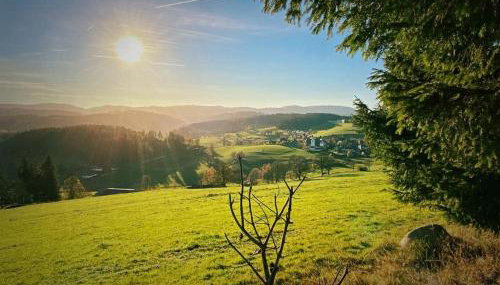 Gästehaus Steiert Fewo Kuhbergblick - Foto 3