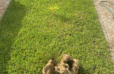 Villa Kethellen - Foto 64