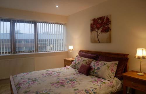 8 Swan House - Foto 12