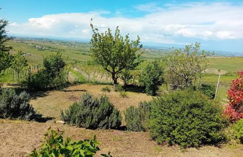 NiFe Tiny House - Secret Garden - Photo 6