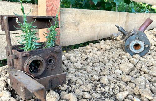 Herbert's Naturlodge - Ferienidyll im Naturpark Zittauer Gebirge - Foto 19