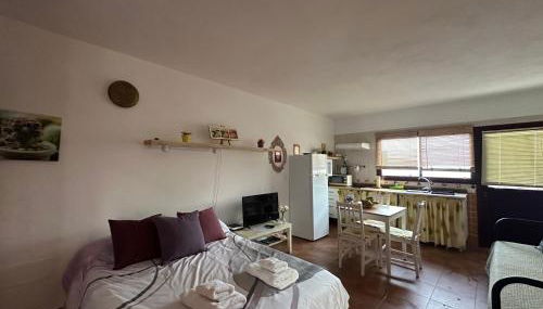 Estudio con terraza - Foto 4