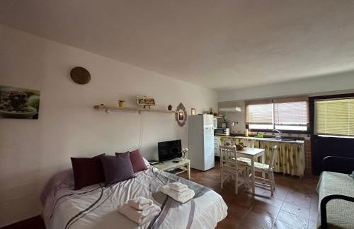 Estudio con terraza - Foto 4