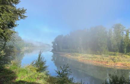 Blue Heron Sanctuary & Serene, river-front cottage - Foto 56