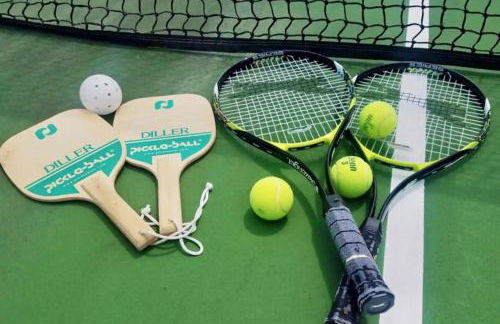 SunBear AC Pool Game Room Fireplace Hiking - Foto 9