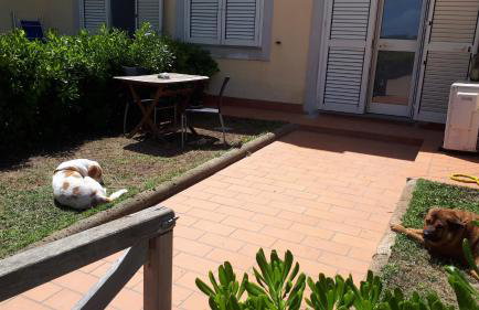 Rocky & Lia - Foto 14
