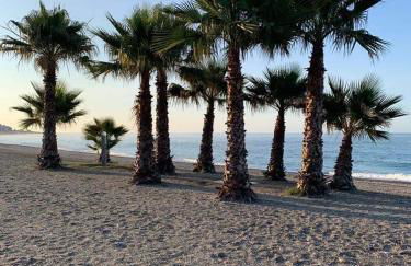 Casa Frijo Tropicana - Foto 24