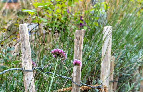 Menschen Meehr und wilder Wein - Foto 33