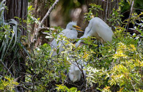 Matchless Luxury II on Mill Pond - Foto 36