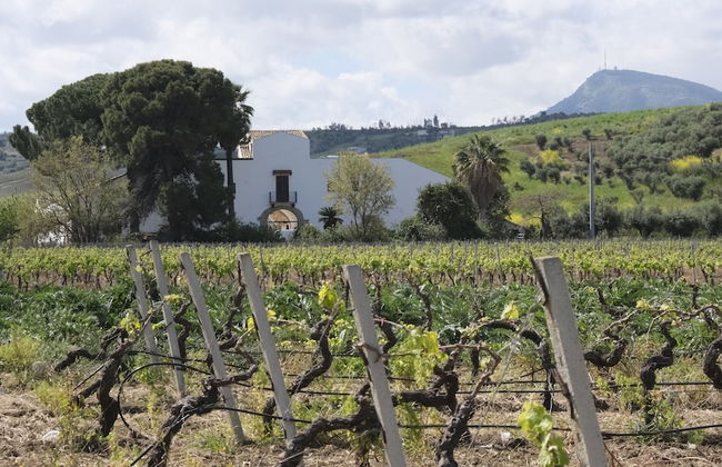 Fattoria Manostalla - Foto 17