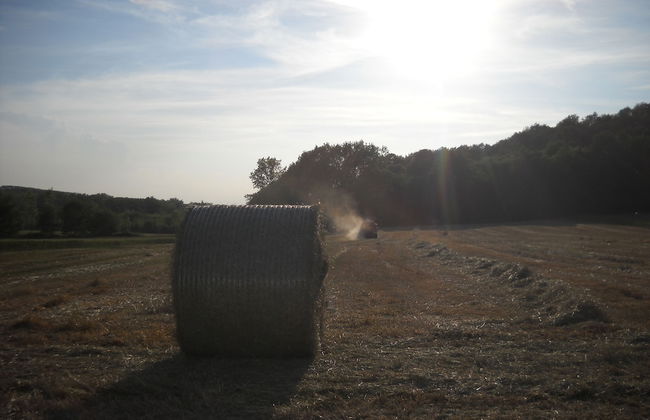 Agriturismo Cascina Monchiero - Foto 25