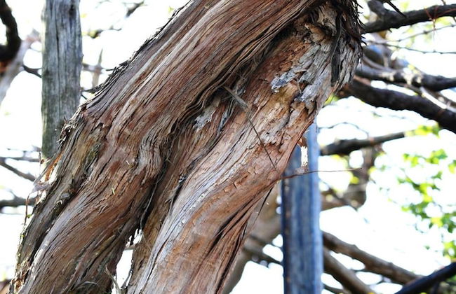 Agriturismo Il Raduno - Foto 51