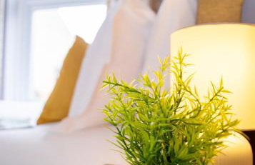 Stylish central location 3 bedroom house - Photo 2