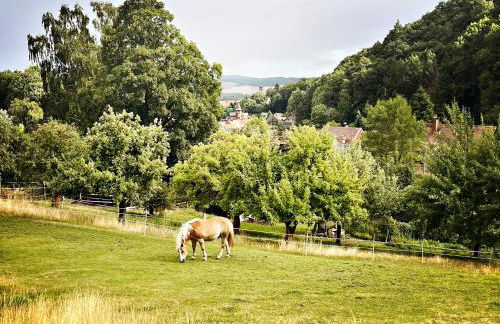 Lovingly Restored Half-Timbered House From 1684 - Foto 34