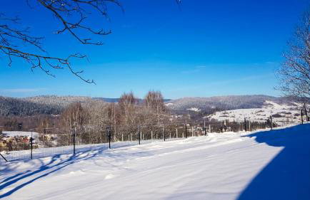 Beskid House Kurów - Foto 48