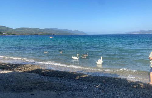 Rooms A Sinos - Foto 3