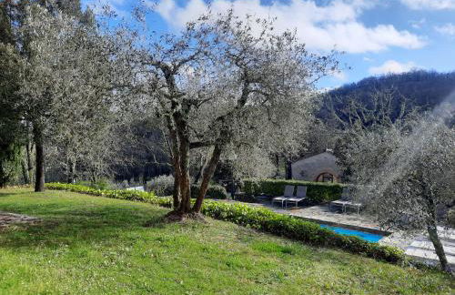 Borgo Livernano - Foto 56