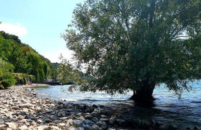 L' Oliva Nera - Foto 15