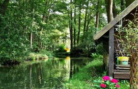 Kauperhaus - Photo 15