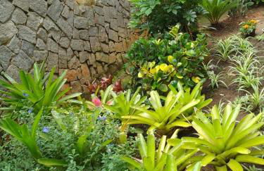 Cantinho da Vovó Regina - Foto 39