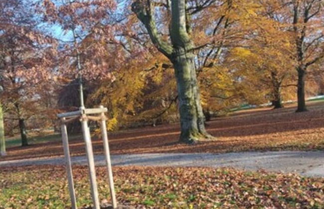 Stadtflair-Apartment - Foto 11