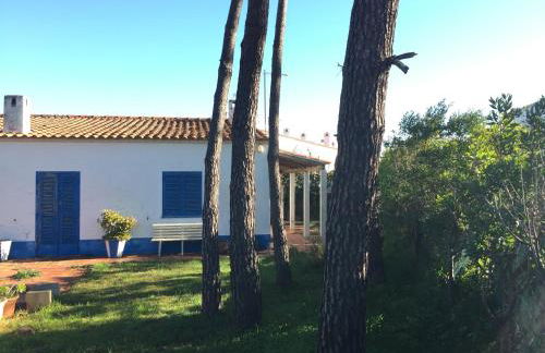 Casalmograve beach house - Foto 1