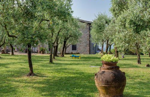 Agriturismo Podere Campiglia - Foto 14