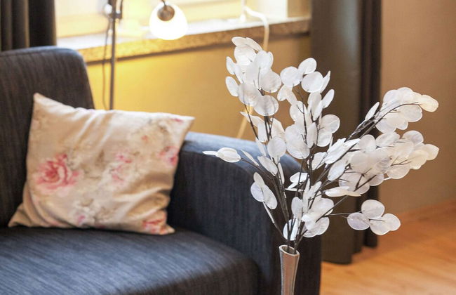 Holiday Home in Rechenberg Near Ski Area - Foto 16