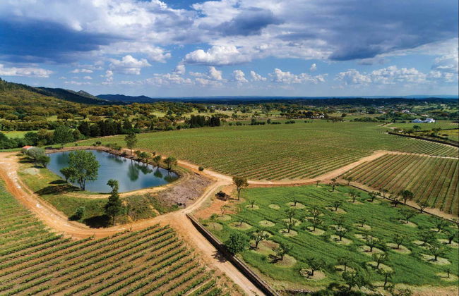 Visita a la bodega Quinta da Fonte Souto - Foto 3