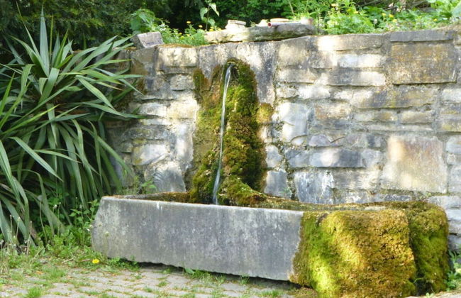 Holiday Apartment Garden Paradise - Foto 18