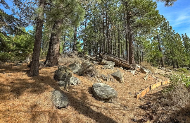 South Star Pines Place - Foto 31