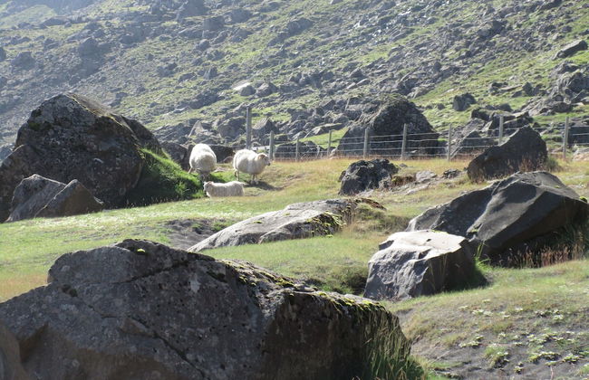 Lindarbrekka - Foto 28