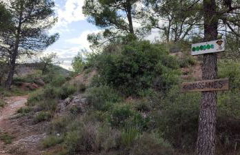 Ca l'Esmolet - Foto 24