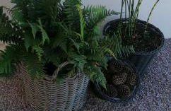 capplouneour - Foto 7