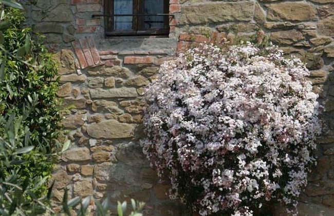 Borgo La Casetta - Foto 37