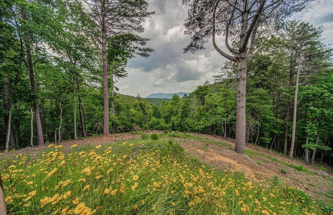 Lazy Days Cabin - Foto 23