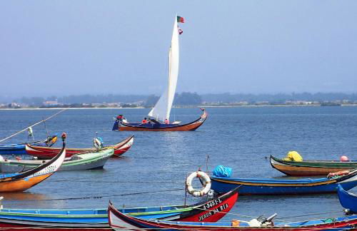 Solar do Alambique - Foto 39